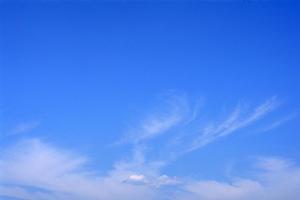 神奈川県で永代供養を行っている寺院