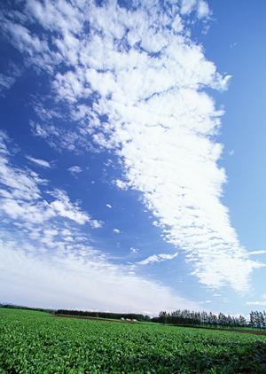 そうぎの窓口株式会社のサイトについて