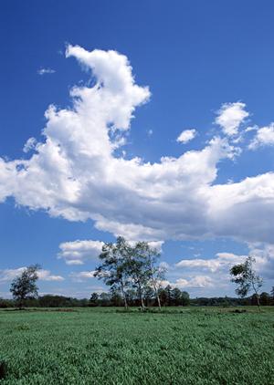 金沢市で葬儀をするならお勧めなのが