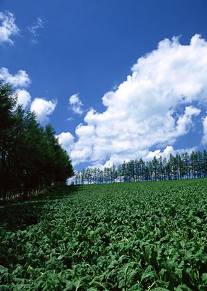 公営や寺院斎場での葬儀も可能です
