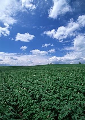 静岡県藤枝市に新規オープン！家族葬のタクセル高柳の全て