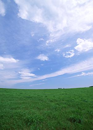 島田市の永代供養ができる納骨堂