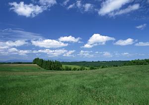【富士葬祭 三園平】静岡・富士宮市の家族葬・一般葬に最適な斎場と葬儀プランの詳細解説