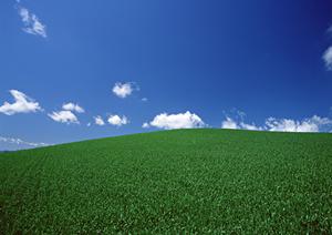 大きな負担がかかる中でも悔いのない葬儀