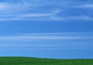 【公式】家族葬のタクセル西朝日町｜栃木県那須塩原市の信頼の葬儀場・家族葬ホール