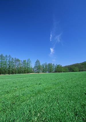 静岡市清水区の家族葬専門斎場【家族葬のタクセル上原】?安心の低価格と多彩な宗派対応