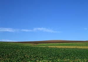 静岡市の家族葬・一般葬に対応！富士葬祭 慈悲尾の安心と信頼の葬儀サービス