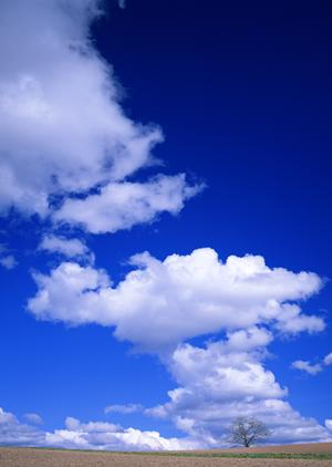 静岡市葵区に新規オープン！家族葬のタクセル新伝馬 | 静岡で安心の葬儀サービス