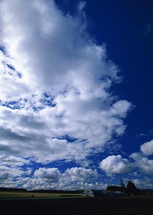 ご紹介したいのが葬儀のサラサです