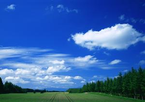 大阪の墓所である海泉寺ならお墓に関する悩みを解決できる