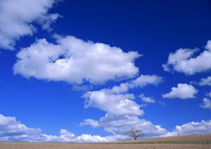 浅草のお墓選び完全ガイド：家族の供養と信頼性を重視した最適な選択肢とは
