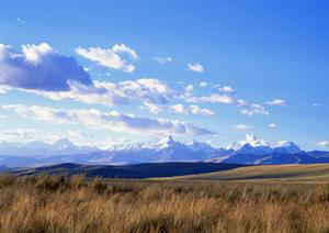 栃木県宇都宮市における総合葬祭場「さがみ典礼 宇都宮御苑」の詳細と特徴情報