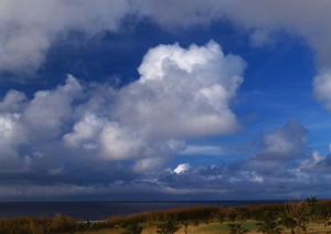 香典返しの品物を販売している会社