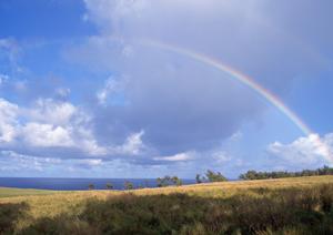 お墓にお金を掛けたくない人におすすめ