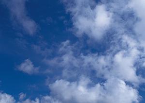 明治15年創業の老舗仏壇・仏具専門店