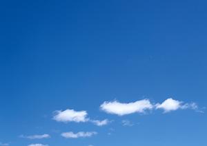 東京の永代供養を徹底解説！費用や手続き、選択肢を知って安心の供養を実現する方法