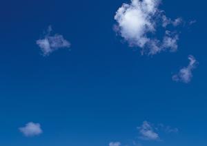 生前に知っておきたい散骨にかかる費用