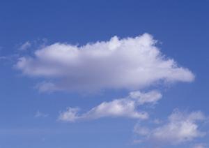 【最新情報】ティア野田の葬儀サービスと特徴について完全ガイド