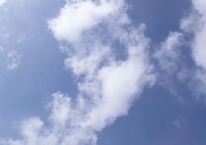 2025年最新！浅草のお墓選びと管理のポイント従来比でわかりやすく解説