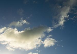 さいたまの家族葬を徹底解説！選び方から料金まで知っておきたい全情報