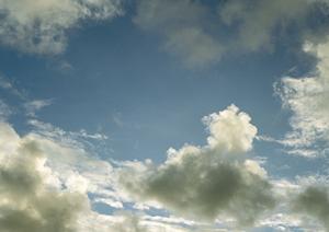 403 Forbiddenエラーの原因と解決策：ウェブサイトアクセスの最適ガイド