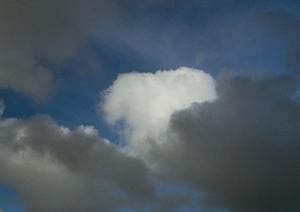明るくて供養しやすい新しい浅草のお墓