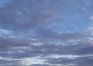 鹿児島でペット葬儀を行う事ができる