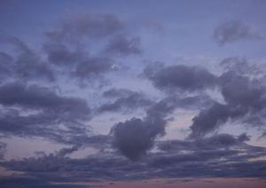 さいたま市にある株式会社花セレモニー