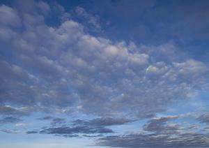 静岡市清水区に新規オープンした家族葬のタクセル北矢部町：安価で安心できる家族葬を実現