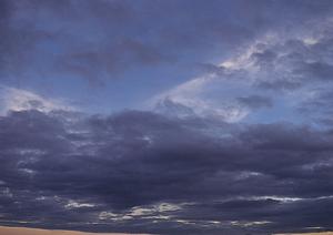 心を込めたペットとの最期をサポート！信頼できるペット葬式サービスの選び方ガイド