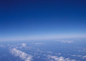 誰でも利用が可能な葬儀社検索サイト